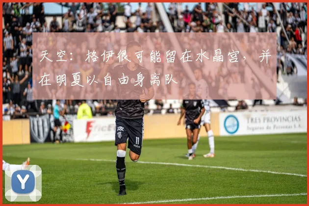 天空：格伊很可能留在水晶宫，并在明夏以自由身离队